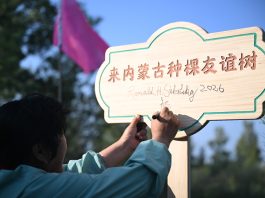 Cina: un’amicizia fa nascere una foresta nell’area sabbiosa di Maowusu (2)