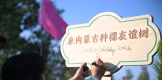 Cina: un’amicizia fa nascere una foresta nell’area sabbiosa di Maowusu (2)