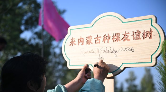 Cina: un’amicizia fa nascere una foresta nell’area sabbiosa di Maowusu (2)