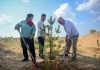 Cina: un’amicizia fa nascere una foresta nell’area sabbiosa di Maowusu (3)