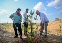 Cina: un’amicizia fa nascere una foresta nell’area sabbiosa di Maowusu (3)