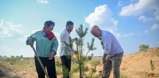 Cina: un’amicizia fa nascere una foresta nell’area sabbiosa di Maowusu (3)