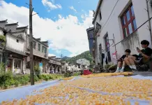 Cina: turisti dipingono i paesaggi rurali del villaggio di Likeng (3)