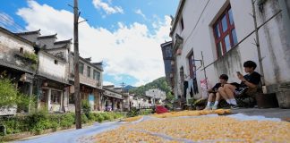 Cina: turisti dipingono i paesaggi rurali del villaggio di Likeng (3)