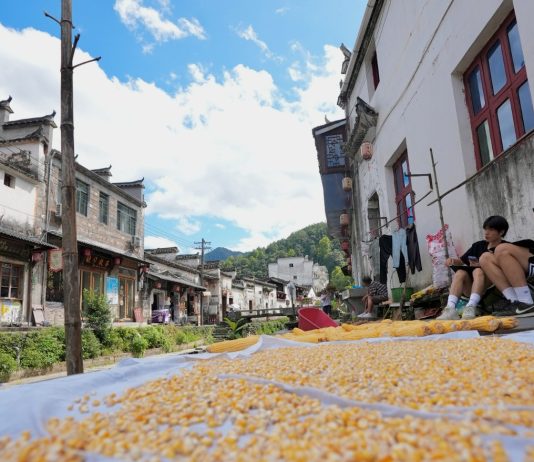 Cina: turisti dipingono i paesaggi rurali del villaggio di Likeng (3)