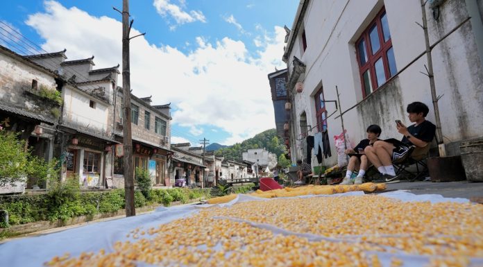 Cina: turisti dipingono i paesaggi rurali del villaggio di Likeng (3)