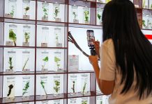 Cina: medicina tradizionale e turismo si incontrano nel resort Hongjitang (3)