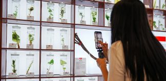 Cina: medicina tradizionale e turismo si incontrano nel resort Hongjitang (3)