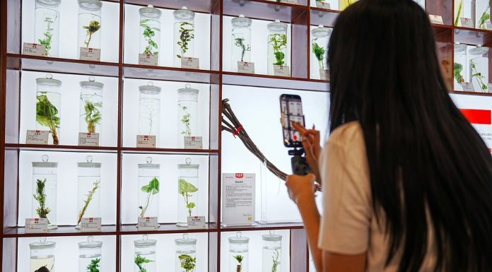 Cina: medicina tradizionale e turismo si incontrano nel resort Hongjitang (3)