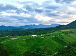 Cina: consolidamento costante dei risultati ottenuti nella lotta alla povertà