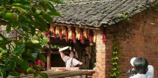 Cina: raccolti autunnali colorano il villaggio di Huangling nel Jiangxi (3)