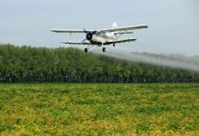 Cina: Heilongjiang impiega velivoli e droni per proteggere colture di cereali (2)