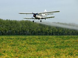 Cina: Heilongjiang impiega velivoli e droni per proteggere colture di cereali (2)