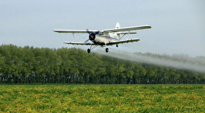 Cina: Heilongjiang impiega velivoli e droni per proteggere colture di cereali (2)