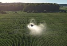 Cina: Heilongjiang impiega velivoli e droni per proteggere colture di cereali (3)