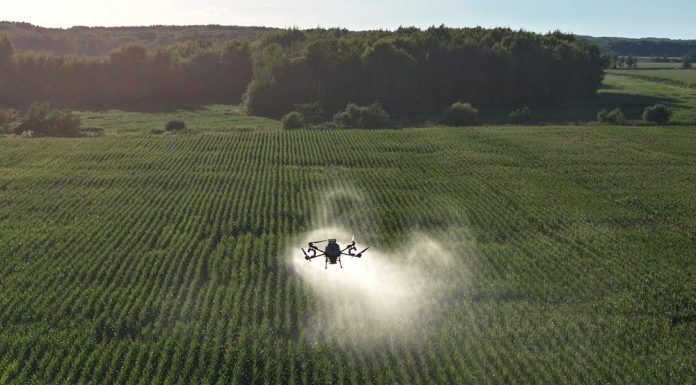 Cina: Heilongjiang impiega velivoli e droni per proteggere colture di cereali (3)