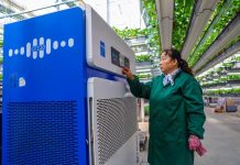 Cina: Shandong, agricoltura intelligente favorisce lo sviluppo rurale (1)