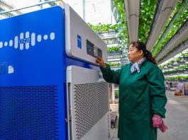 Cina: Shandong, agricoltura intelligente favorisce lo sviluppo rurale (1)
