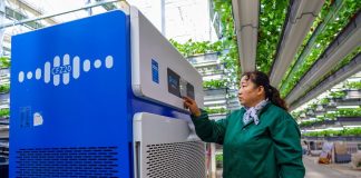 Cina: Shandong, agricoltura intelligente favorisce lo sviluppo rurale (1)