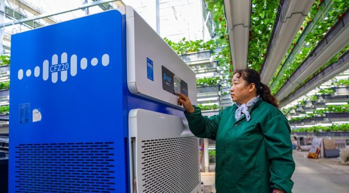 Cina: Shandong, agricoltura intelligente favorisce lo sviluppo rurale (1)