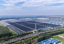 Cina: Shandong, agricoltura intelligente favorisce lo sviluppo rurale (3)