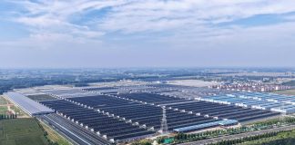 Cina: Shandong, agricoltura intelligente favorisce lo sviluppo rurale (3)