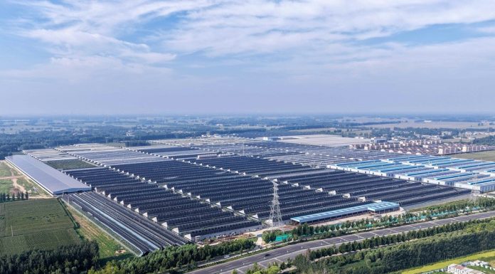 Cina: Shandong, agricoltura intelligente favorisce lo sviluppo rurale (3)