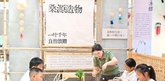 Cina: Suqian, filiere di gelso e baco da seta stimolano economia dei villaggi (2)