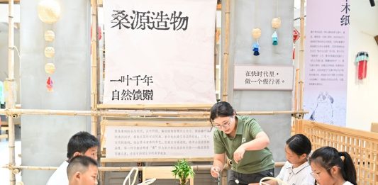 Cina: Suqian, filiere di gelso e baco da seta stimolano economia dei villaggi (2)