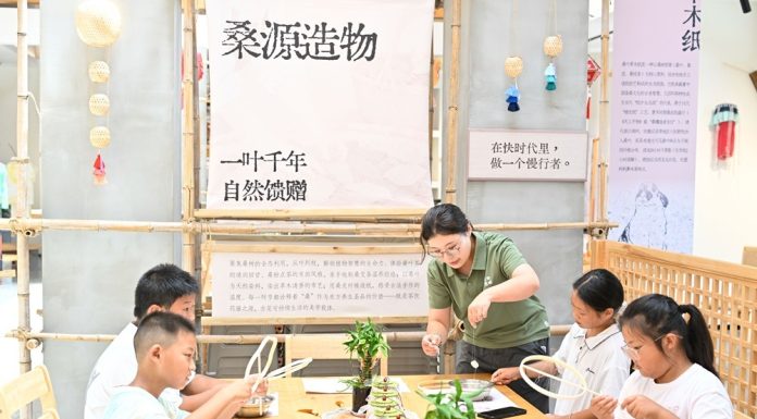 Cina: Suqian, filiere di gelso e baco da seta stimolano economia dei villaggi (2)