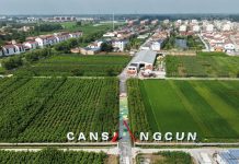 Cina: Suqian, filiere di gelso e baco da seta stimolano economia dei villaggi (3)