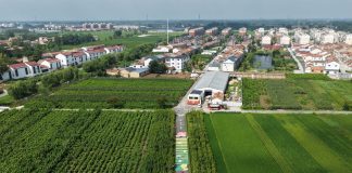 Cina: Suqian, filiere di gelso e baco da seta stimolano economia dei villaggi (3)