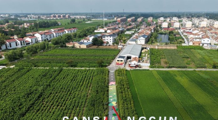 Cina: Suqian, filiere di gelso e baco da seta stimolano economia dei villaggi (3)