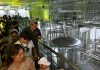 Cina: Qingdao, il Museo della birra Tsingtao attira sempre più visitatori (2)