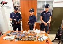 Nove chili di droga nascosta nel freezer, 35enne arrestato a Palermo