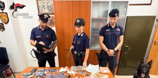 Nove chili di droga nascosta nel freezer, 35enne arrestato a Palermo