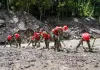 Cina: cinque morti e 558 dispersi per la colata di fango nello Xizang (3)