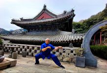 Cina-Italia: Angelo D’Aria, “Arti marziali cinesi strettamente legate a cultura nazionale”