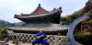 Cina-Italia: Angelo D’Aria, “Arti marziali cinesi strettamente legate a cultura nazionale”