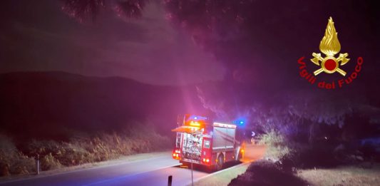 Brucia l’Ogliastra in Sardegna, tre Canadair in azione