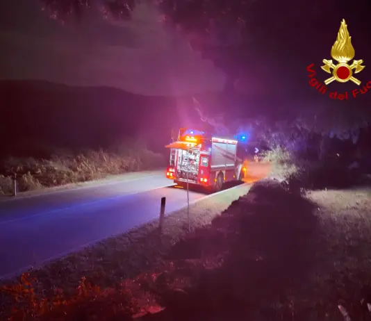 Brucia l’Ogliastra in Sardegna, tre Canadair in azione