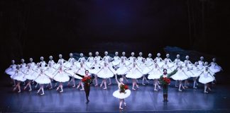 Cina: il “cigno” di Shanghai spiega le ali nei Paesi Bassi