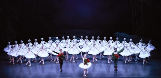 Cina: il “cigno” di Shanghai spiega le ali nei Paesi Bassi
