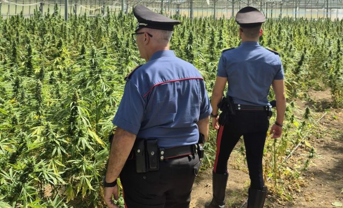Carabinieri droga