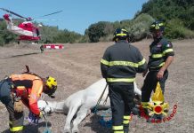 Cavallo cade in un canale ad Ales, recuperato con un elicottero dai Vigili del fuoco
