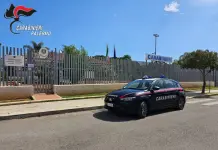 Scoperta una piantagione di marijuana a Palermo, in due tentano la fuga e aizzano la folla