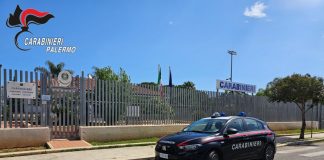 Scoperta una piantagione di marijuana a Palermo, in due tentano la fuga e aizzano la folla