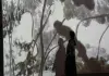 Cina: Nanchang, mostra celebra i 400 anni dalla nascita di Badashanren (1)
