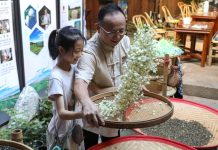 Cina: a Fuzhou il tè al gelsomino unisce tradizione, innovazione e turismo (1)