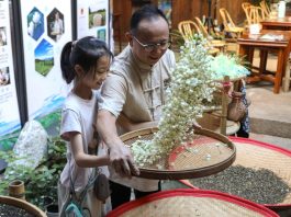Cina: a Fuzhou il tè al gelsomino unisce tradizione, innovazione e turismo (1)